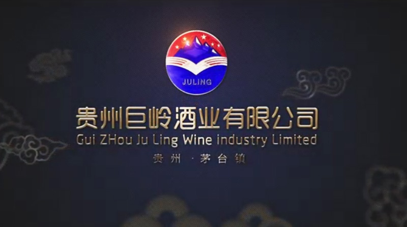 公司實力